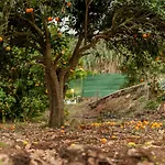 Castanos - Panoramic View 别墅