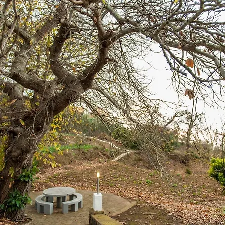 Castanos - Panoramic View * Santa Cruz de Tenerife