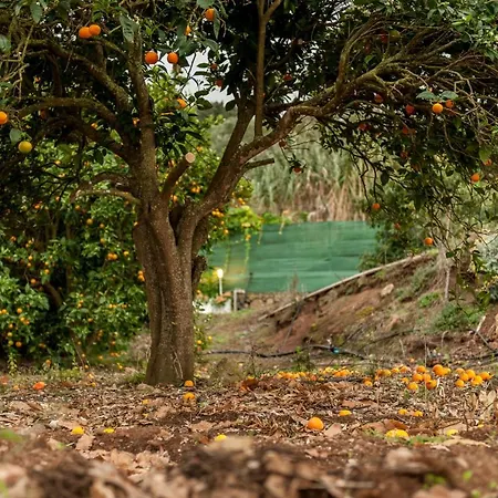 Castanos - Panoramic View Vila