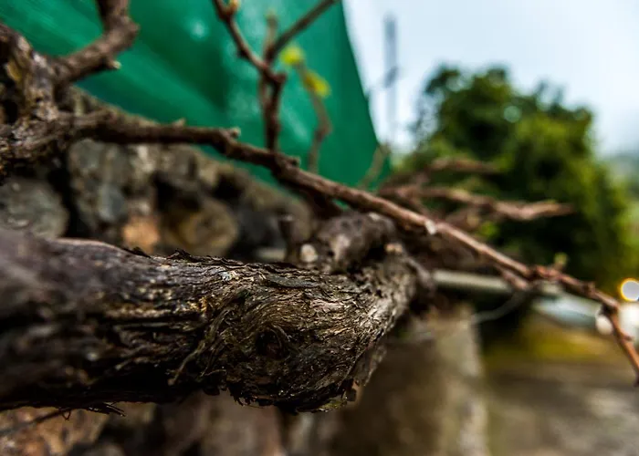 Villa Castanos - Panoramic View