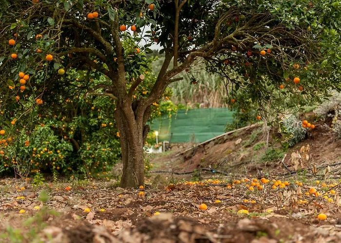 Castanos - Panoramic View Villa