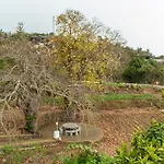 Castanos - Panoramic View ヴィラ *