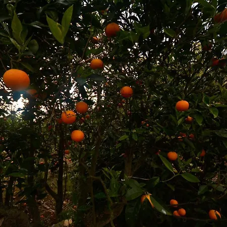 Castanos - Panoramic View וילה *