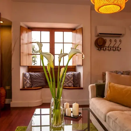 Castanos - Panoramic View